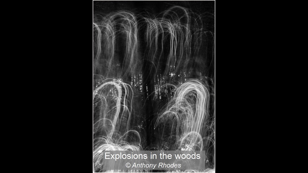 Explosions in the woods